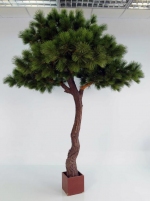 Pine naaldboom 250cm (ALLEEN OP BESTELLING)
